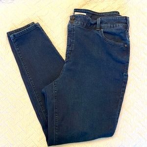 Lane Bryant High-Rise Skinny jeans. Tighter Tummy and Flex Magic Wasteland (22L)